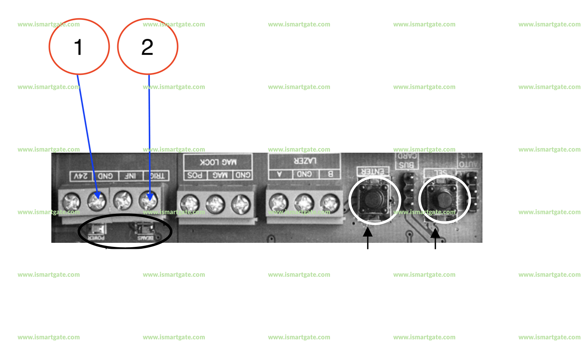 Wiring diagram for DACE LAZER
