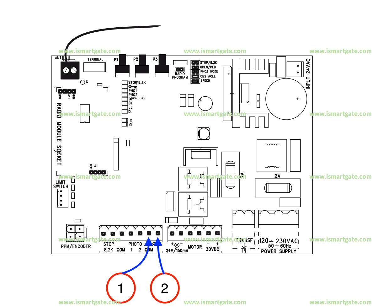 Wiring diagram for MERLIN XLR8